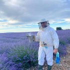 Un apicultor en un campo de lavanda.