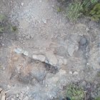 Imagen del yacimiento, en una imagen facilitada por sus investigadores.