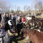 Las reses de caballar estarán presentes en esta feria de San Blas.