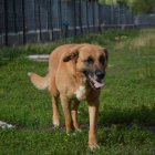 Pimienta, nadie se ha interesado nunca por ella