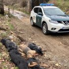 En enrejado está totalmente deteriorado y lleno de agujeros.  La Guardia Civil acudió al lugar para investigar los hechos.