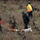 Participantes en la última prueba de rastro de jabalí.  Perros en el recinto ferial.