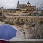 El río Guadalquivir a su paso por el Puente Romano de Córdoba. EFE/Rafa Alcaide