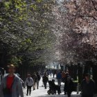 Gente de paseo por la Condesa en León.