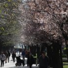 Gente de paseo por la Condesa en León.