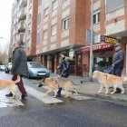 Perros guía de la ONCE por León.
