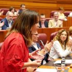 Intervención de la portavoz socialista Patricia Gómez en el Pleno de las Cortes