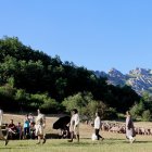 Desfile del Wool Fest en Salamón con el rebaño trashumante de fondo.
