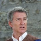El líder del PP, Alberto Núñez Feijóo.