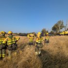 Agentes del Brif ya están en la zona.