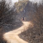 Incendio en Las Médulas (León).