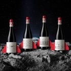 Las etiquetas elaboradas por Pablo Guerrero con los dibujos de los cuatro participantes en el proyecto inclusivo Aspronautas.  Dibujo de la etiqueta.  Las cuatro personas con discapacidad intelectual que participan en el proyecto.