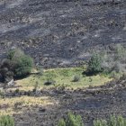 Huella del fuego en el entorno de Fasgar.