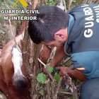 Un Guardia Civil ayuda al potro atrapado.