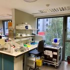 Una investigadora trabaja en el laboratorio de genética del Hospital de León.