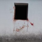 Huellas ensangrentadas del oso en la ventana de un cobertizo allanado en Laciana.