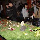 La variedad de setas que se recogan se expondrán en el edificio La Parada.