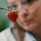 La tecnología busca alimentos más saludables.