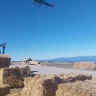 Imagen de las actuaciones que ha iniciado la CHD de restauración hidrológico-forestal en las zonas afectadas por los incendios en León.