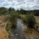 Zayas en Castrillo de la Valduerna.