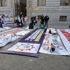 Decenas de Tcaes de León acudieron ayer a una manifestación en Madrid por la reclasificación y 'entrar' en el Estatuto Marco.