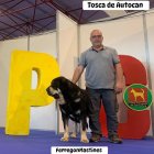 Tosca de Autocán, con su criador en Portugal.