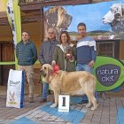 Mejor ejemplar del concurso, Jarana de La Pirinola.