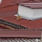 La gata en el tejado