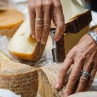 Mundial de los quesos