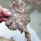 Un amasijo de lo que parece chapa, el único resto que dejó la Policía de Gijón tras vaciar la balsa.