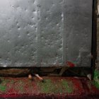 Archivo - Ciervos sacrificados en el matadero de Segovia.