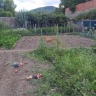 Sandías destrozadas por las personas que entraron en su interior en Huertas del Sacramento.