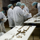Trabajo forense en la cripta de las Trinitarias de Madrid