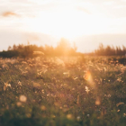 El tiempo en Gordaliza del Pino AEMET Foto: Pexels