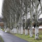 El tiempo en Santovenia de la Valdoncina AEMET Foto de archivo