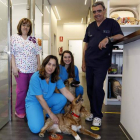 El equipo del Centro San Marcos de Intermediación Veterinaria. MARCIANO PÉREZ