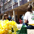 Fiesta del Capilote en Riaño: Historia, concursos y su flor. Foto de archivo