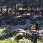 Los alumnos de Ingeniería Forestal y del Medio Natural visitaron hace poco el Centro del Lobo Ibérico. DL