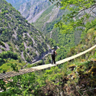 Puente tibetano en el desfiladero de Los Beyos