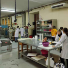 Un grupo de alumnos de Ciencia y Tecnología de los Alimentos durante unas prácticas en un laboratorio de la facultad. DL