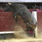 El segundo toro de la tarde, Segador, intenta saltar la barrera tras salir de los chiqueros