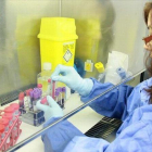 Una investigadora del Idibaps del Hospital Clínic trabaja en un laboratorio del centro.