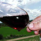 Imagen de una copa de vino de la provincia de León. ACACIO