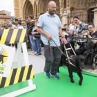 Muestra de adiestramiento de un perro guía, ayer en la plaza de la Catedral. FERNANDO OTERO PERANDONES
