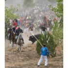 Los lanceros persiguen a 'Rompesuelas' a pie y a caballo. No se respetó el orden de lidia.