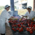 El trabajo temporal, sobre todo femenino, marca cada año la campaña del pimiento asado.