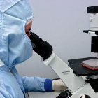 Un investigador, en una imagen de archivo.