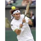 David Ferrer se cuela entre los mejores del circuito.