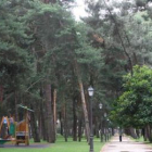 En las trampas colocadas en el parque del Temple se introdujeron feromonas femeninas.