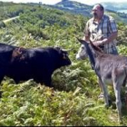 Patxi, que regenta «Maddiola», en el monte Igueldo de San Sebastián, alimenta a dos de sus animales